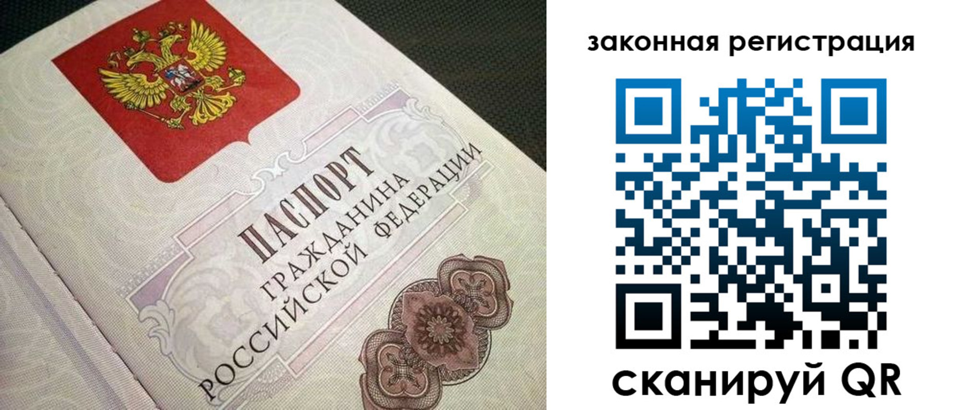 прописка в Химках